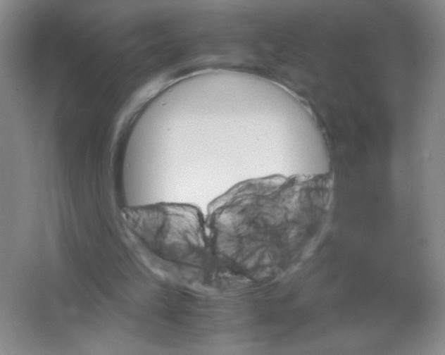 X0000063500149200602101908