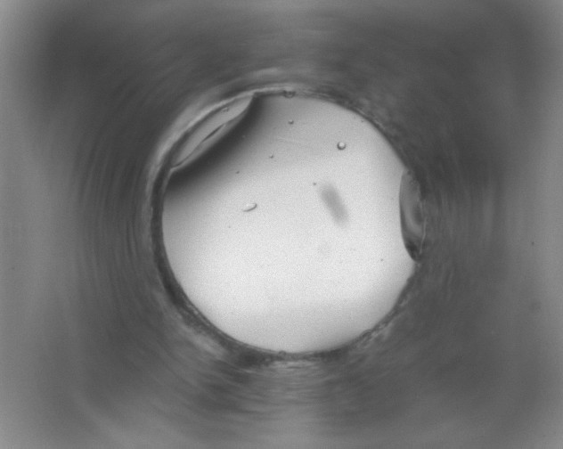 X0000063500150200602101908