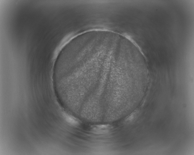 X0000063500151200602101908