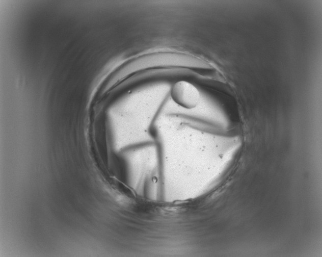 X0000063500152200602101908