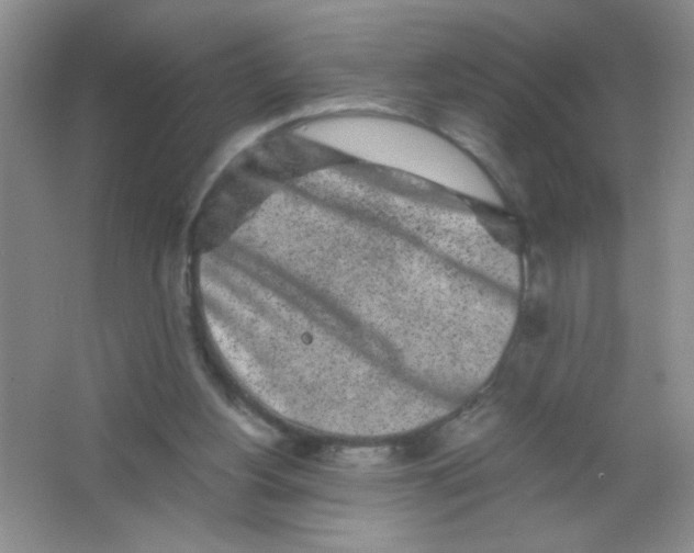 X0000063500156200602101908