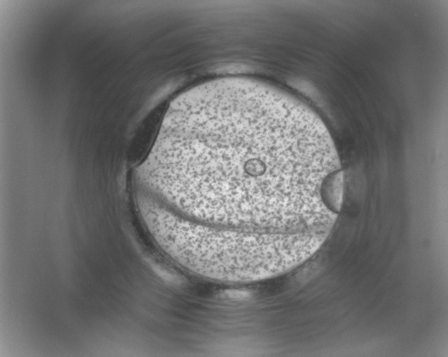 X0000063500159200602101908