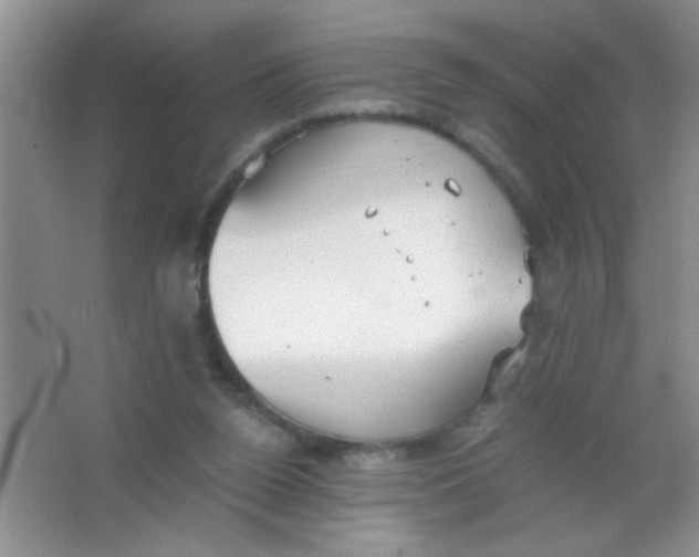 X0000063500160200602101908