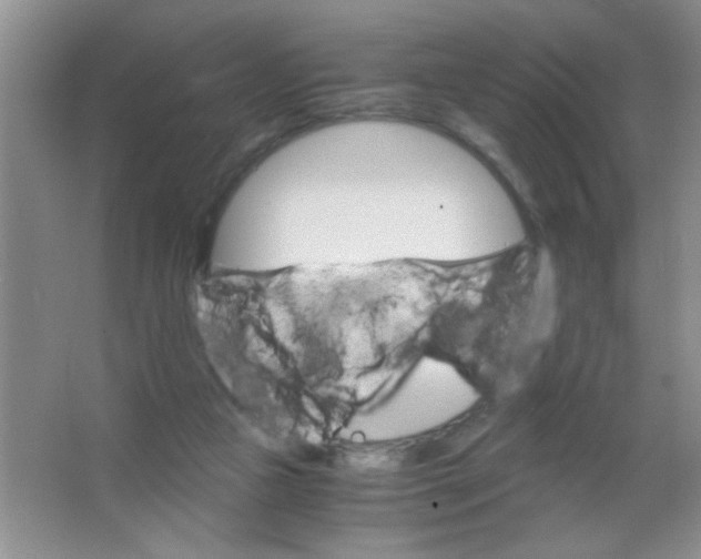 X0000063500161200602101908