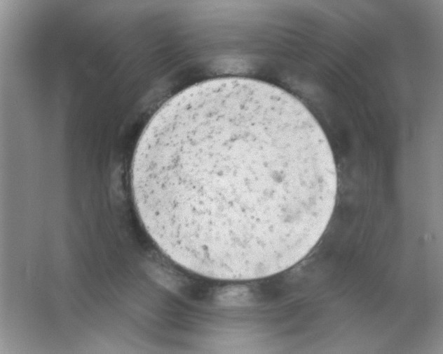 X0000063500162200602101908