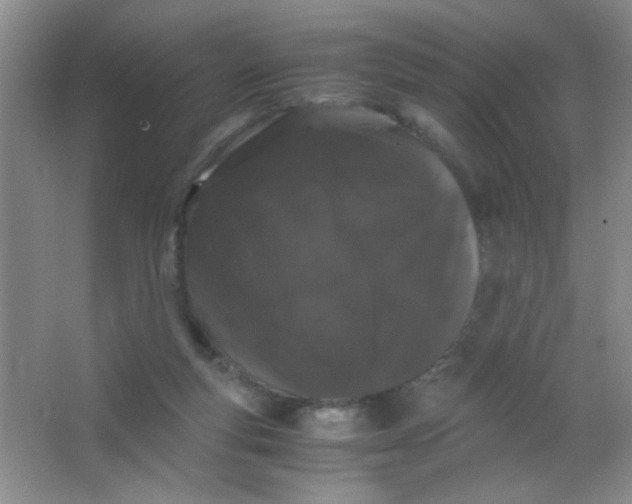 X0000063500163200602101908