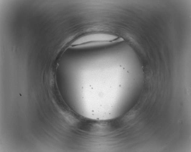 X0000063500164200602101908