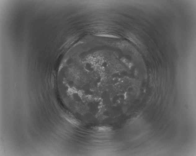 X0000063500165200602101908