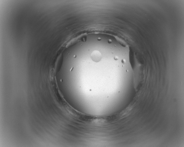 X0000063500168200602101908