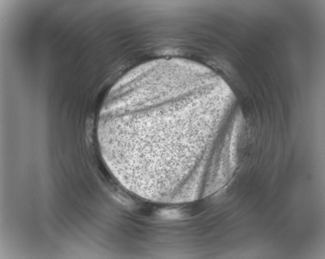 X0000063500171200602101908