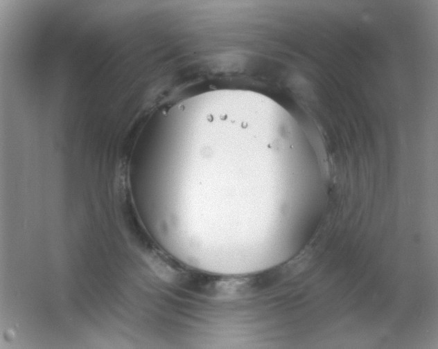 X0000063500172200602101908