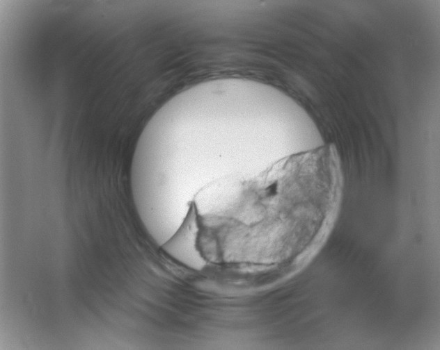 X0000063500173200602101908