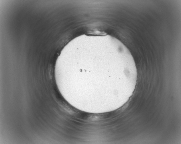 X0000063500174200602101908