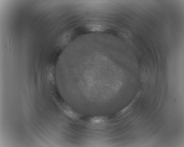 X0000063500175200602101908