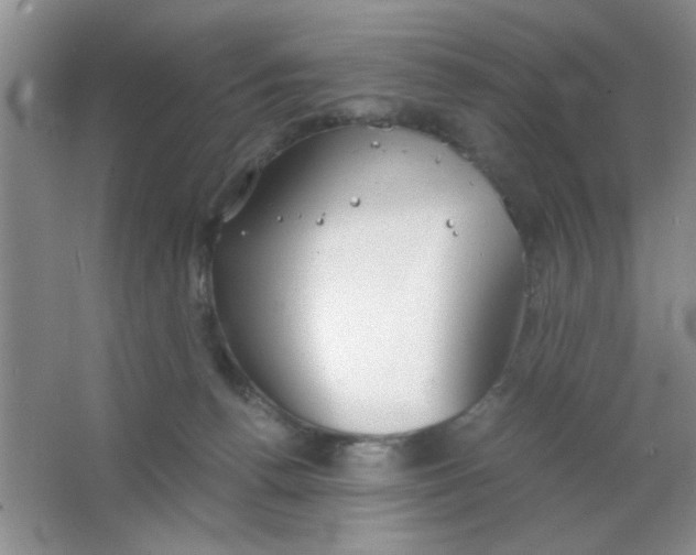 X0000063500176200602101908