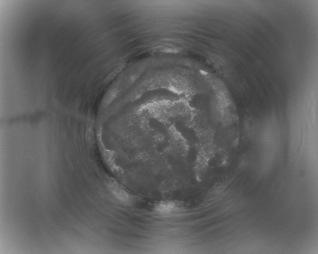 X0000063500177200602101908