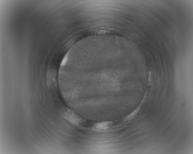 X0000063500178200602101909