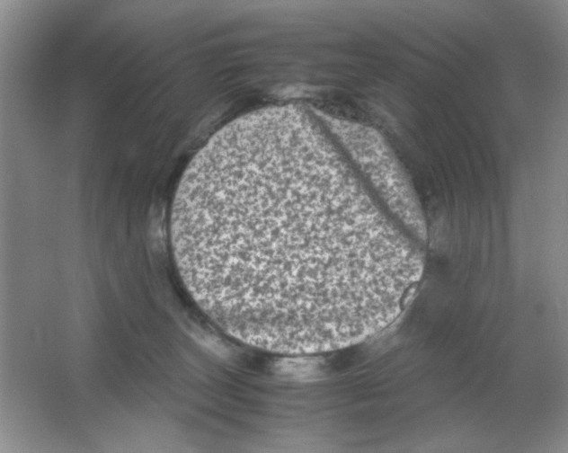 X0000063500179200602101909