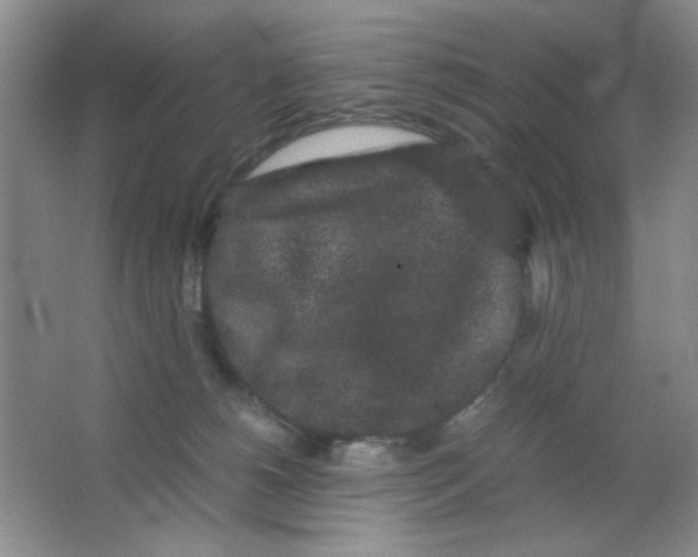 X0000063500180200602101909