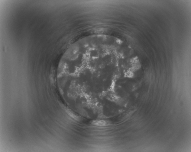 X0000063500181200602101909