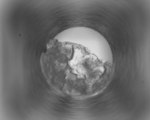 X0000063500185200602101909