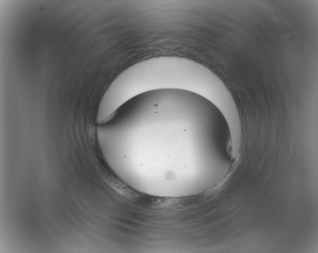 X0000063500186200602101909