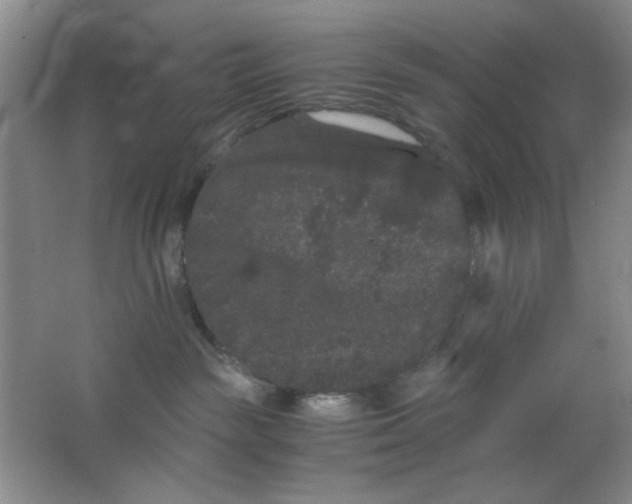 X0000063500189200602101909