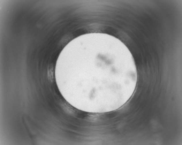 X0000063500190200602101909