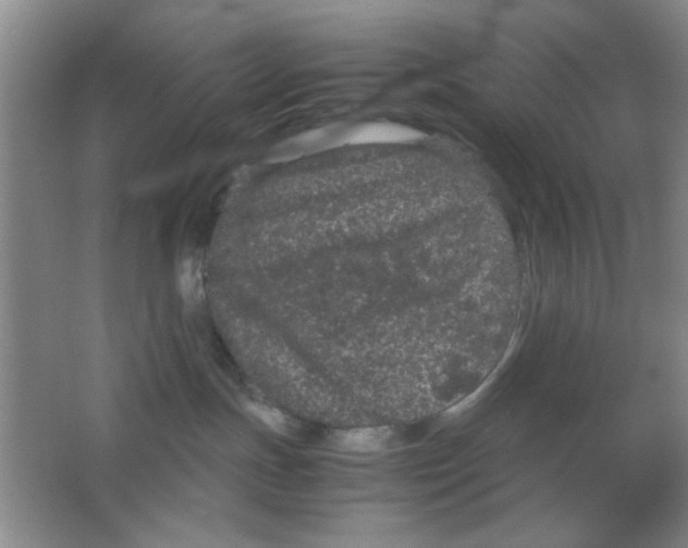 X0000063500191200602101909