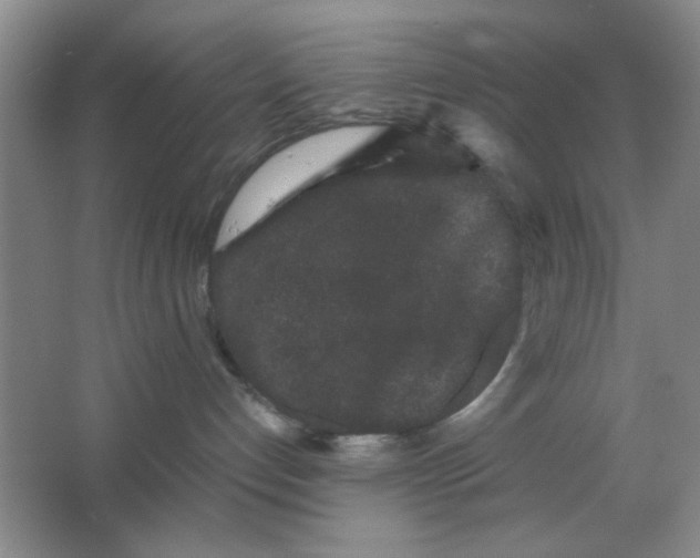 X0000063500192200602101909