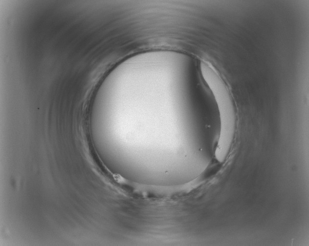 X0000063500193200602101908