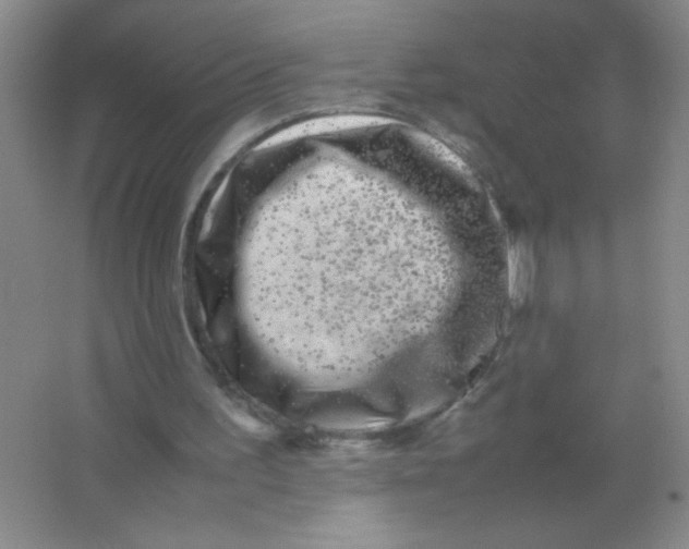 X0000063500195200602101908