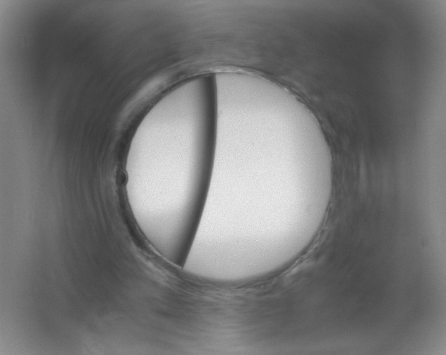 X0000063500197200602101908