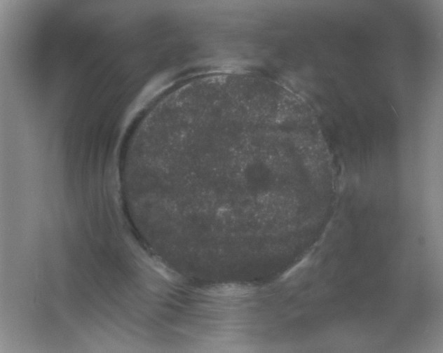 X0000063500198200602101908