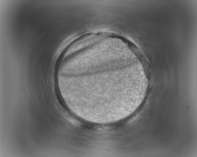 X0000063500199200602101908