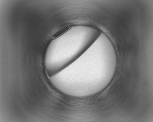 X0000063500201200602101908