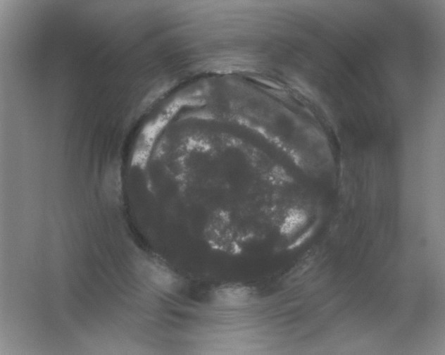 X0000063500202200602101908