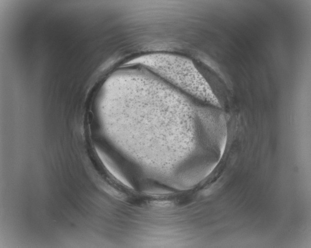 X0000063500203200602101908