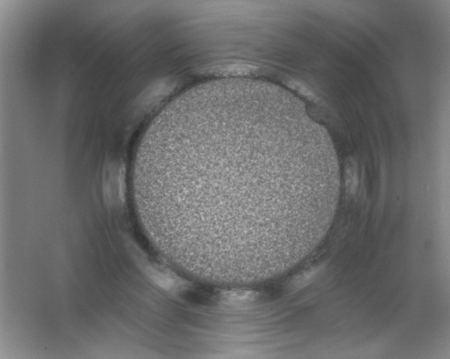 X0000063500206200602101908