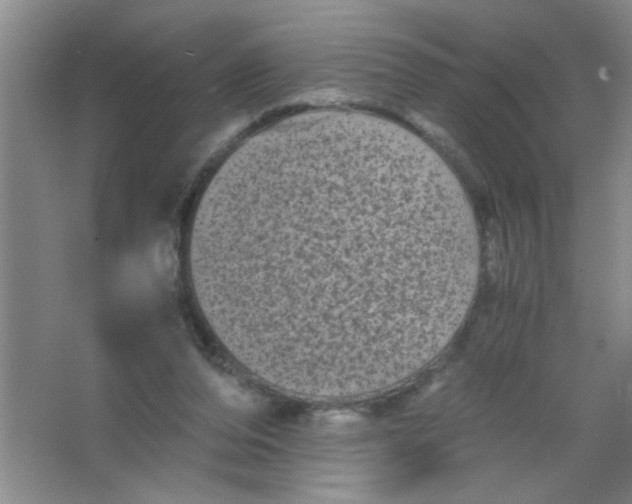 X0000063500208200602101908