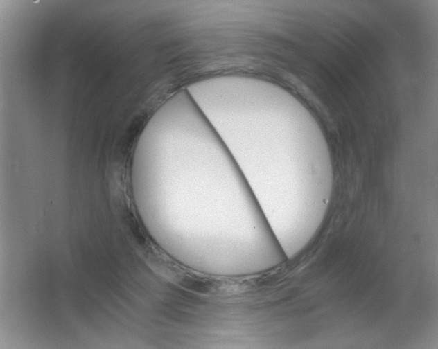 X0000063500209200602101908