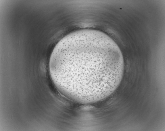 X0000063500210200602101908