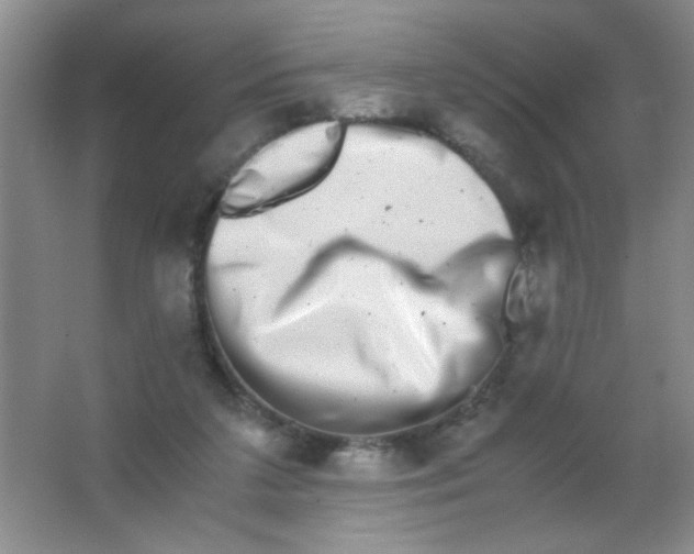 X0000063500211200602101908