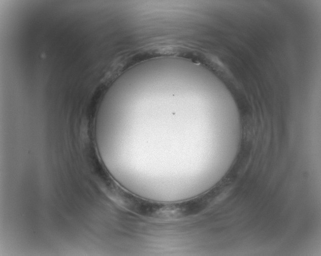 X0000063500213200602101908