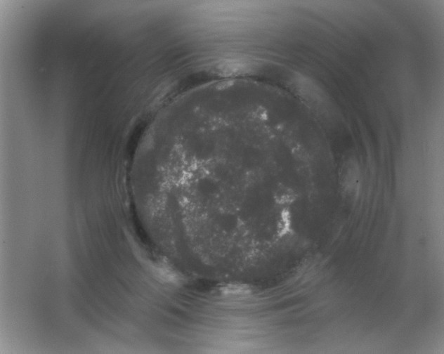 X0000063500214200602101908