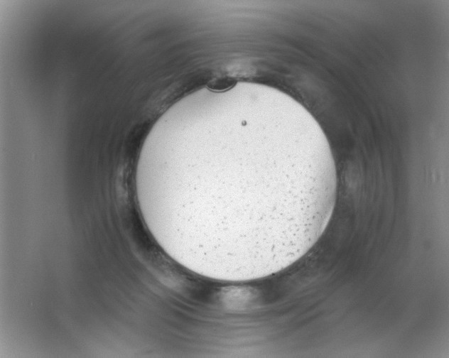 X0000063500218200602101908