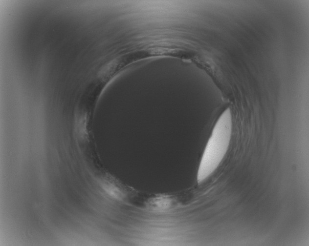 X0000063500219200602101907