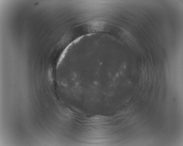 X0000063500224200602101907