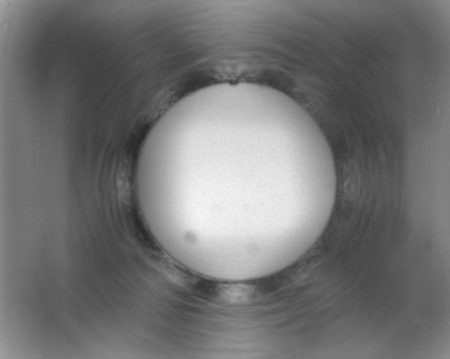 X0000063500226200602101907