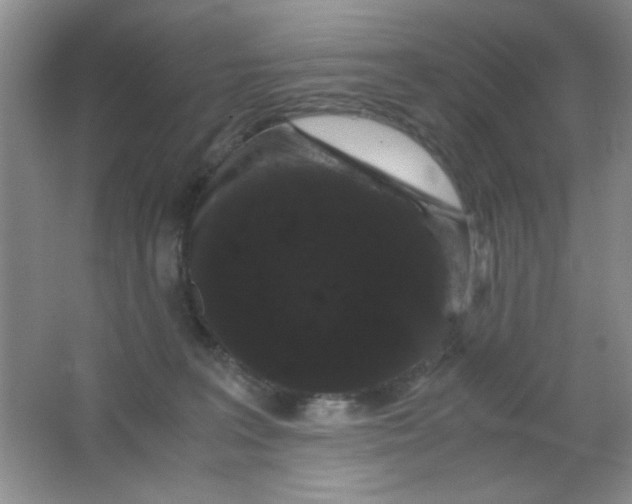 X0000063500227200602101907